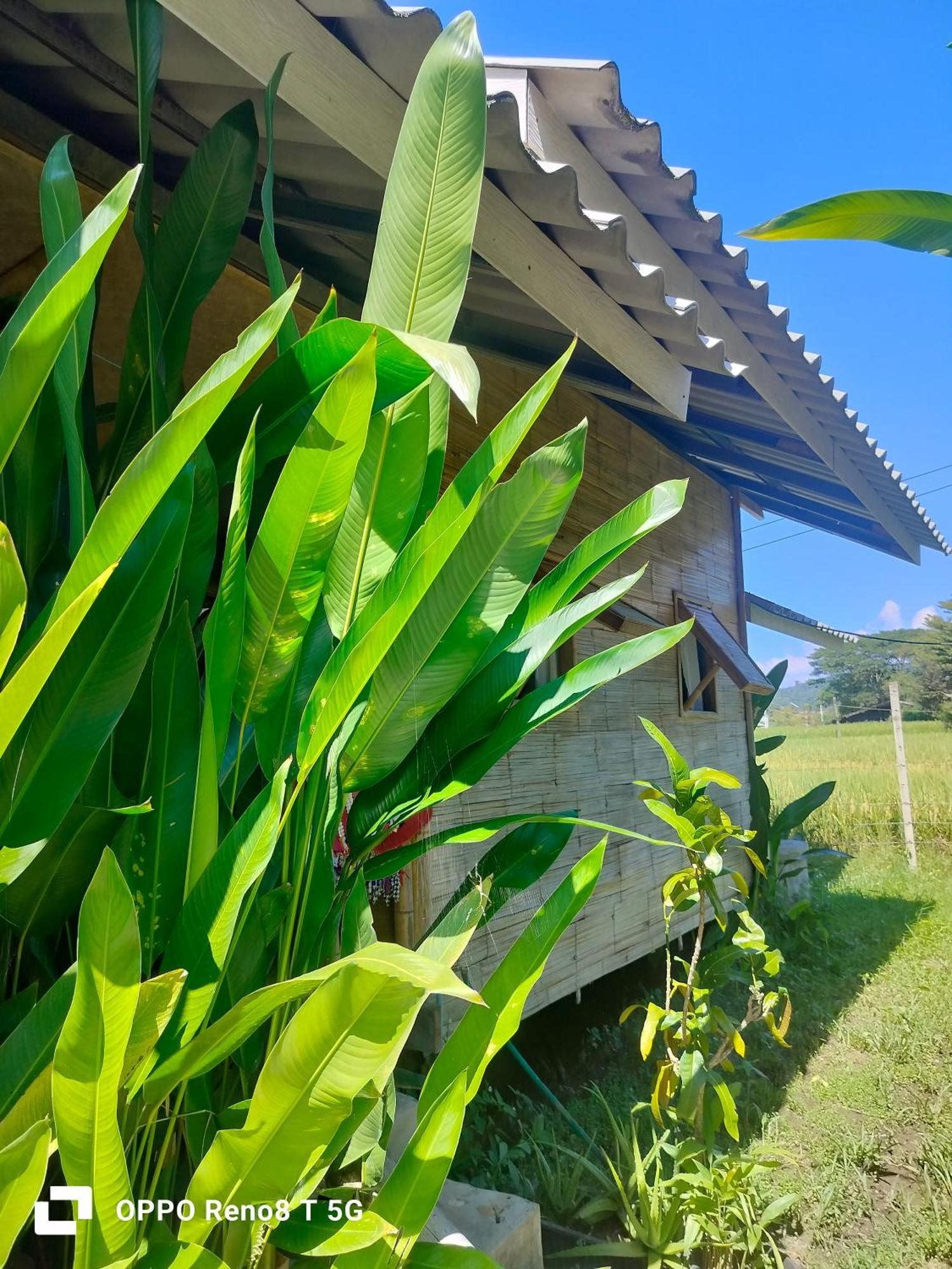 Tulip Resort Pai Kamer foto